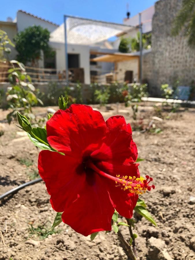 Naiades * Pigi (Crete)